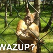 get schwifty's Avatar