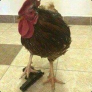 zxi