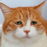 孤独风中一猛犸's Avatar