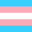 proud transgender