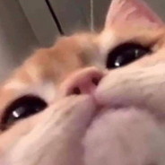 cummy