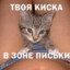 Tvoya_kiska