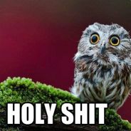 Owlshit's Avatar