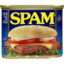 SPAM