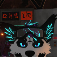 RadarCoyote