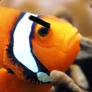 Clownfish }<| |*> avatar