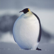 im da biggest bird-stepbroom