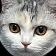 ployrina