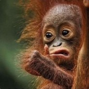 DaftCanuck - Ark Server is Onlin - steam id 76561197960432395