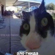 MaHTulllMbIrA