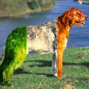 bigomcnasty's Avatar