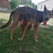 Klyne