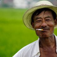 Mr Chang