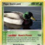 The_Duck_Lord