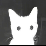 xa0s