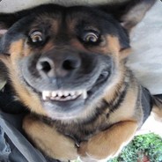 369_stormindigo125