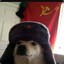 Perro Super Sovietico