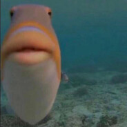 yamaster3