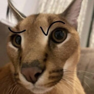 quierevergaoquierevergota?