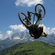 PiTBuLL...[AUT]<3 HaPpY's Avatar