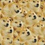 Doge :)