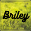 Briley