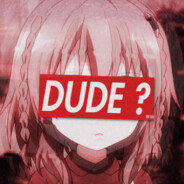 DUDE ?
