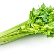 Celery's Avatar