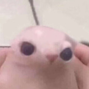 Bingus