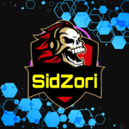 SidZori - steam id 76561199066931799