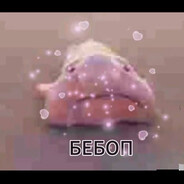Бебоп