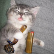 gatito fumón