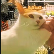 XS mangekyou's Avatar