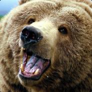 Oso StatTrak™