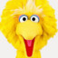 Bigbird