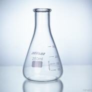 Erlenmeyer Flask