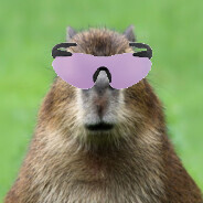 capybaraSP3CTR
