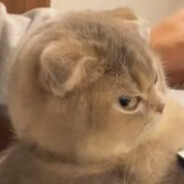 inno #RustyPot#RustClash#clash