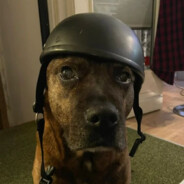 Tyson