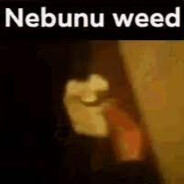 Nebunu weed