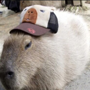 Jamal with kennys mic