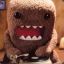 Domokun