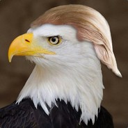 Screaming Eagle