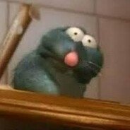 Rat