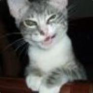 veekzNUTS - steam id 76561197962261699