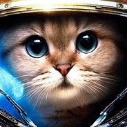 КОТИК