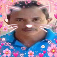 vini q te passou o zap