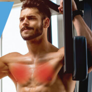 Pectoralis major