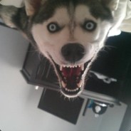 БЕЛЫЙ_НИГЕР