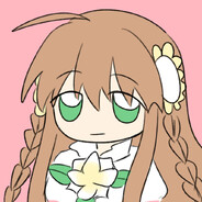 爱kotori人士